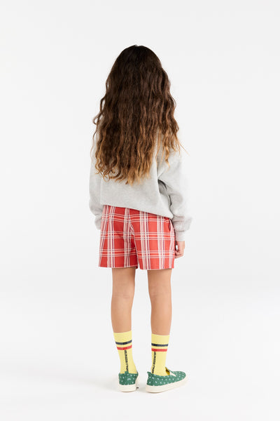 Grey Leo Sweatshirt