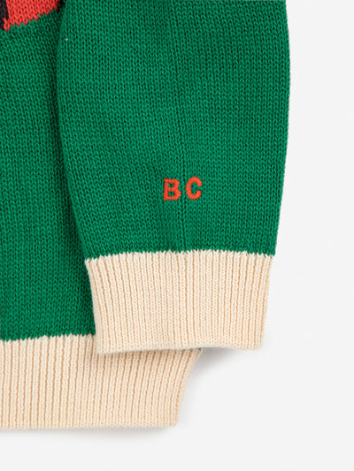 Race Car jumper