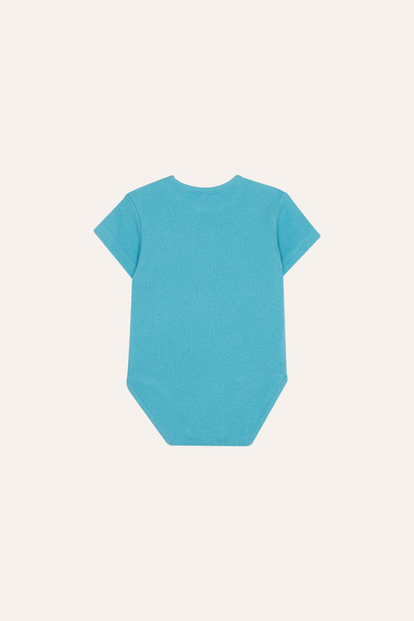 Blue Ladybug Baby Body