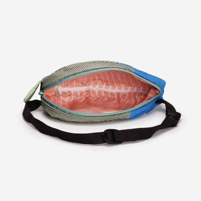 John Dory Adult