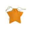 Gift Bag - Star