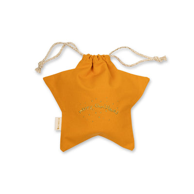 Gift Bag - Star