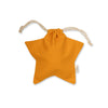 Gift Bag - Star