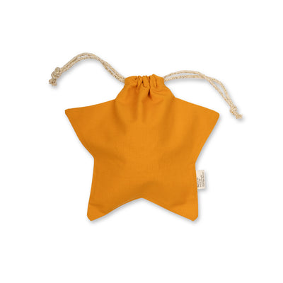 Gift Bag - Star