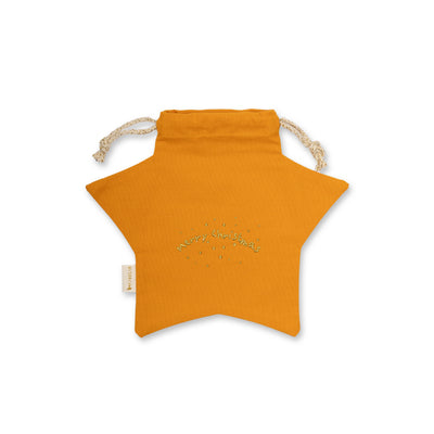 Gift Bag - Star