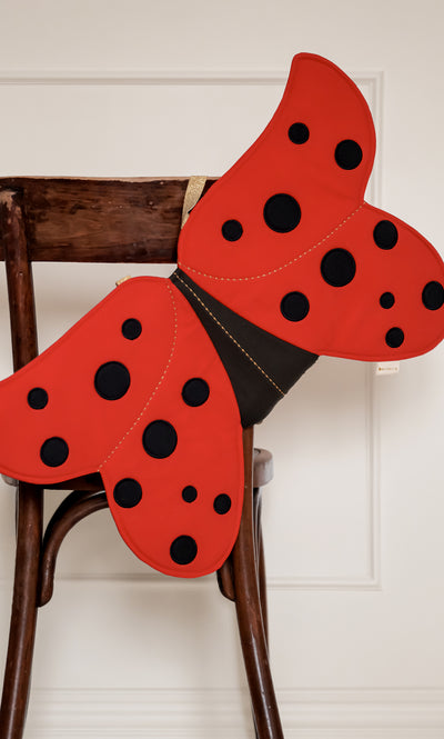 Dress-up Wings - Ladybug