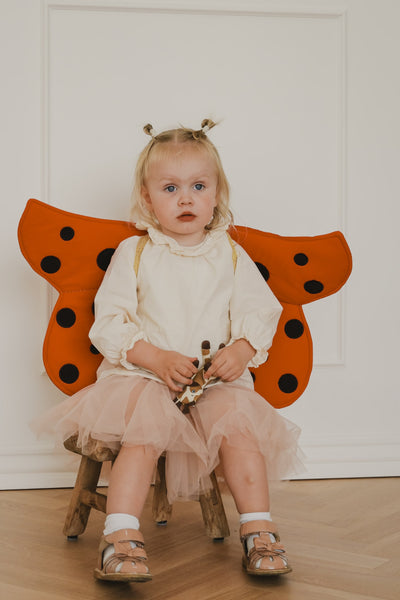 Dress-up Wings - Ladybug