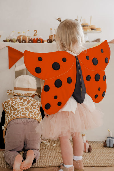 Dress-up Wings - Ladybug