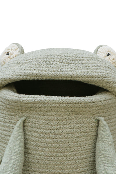 Basket Fred the Frog