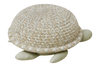 Basket Baby Turtle