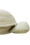 Basket Mama Turtle