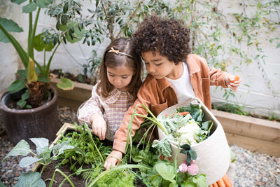 Basket Veggies