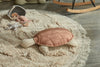 Cushion Turtle