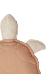 Cushion Turtle