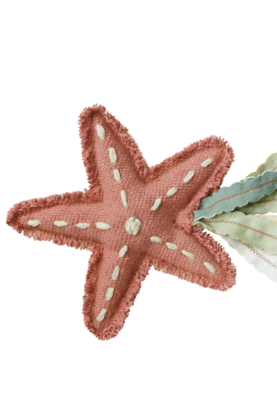 Magic wand Starfish