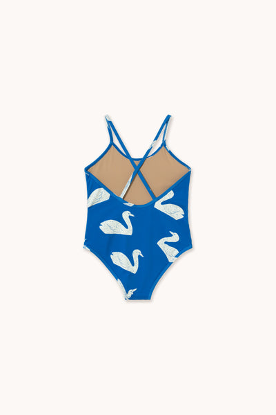BIG SWANS SWIMSUIT